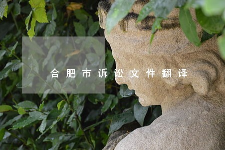 合肥市诉讼文件翻译 合肥市诉讼文件翻译