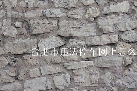 合肥市违法停车网上怎么查询 合肥市违法停车网上怎么查询
