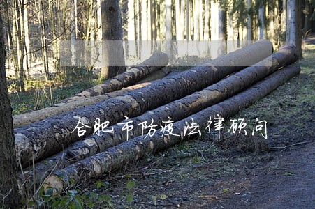 合肥市防疫法律顾问 合肥市防疫法律顾问