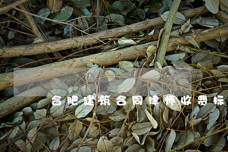 合肥建筑合同律师收费标准 合肥建筑合同律师收费标准
