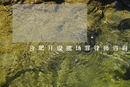 合肥开设赌场罪律师咨询 合肥开设赌场罪律师咨询