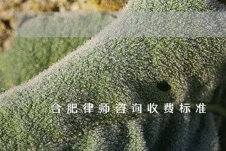 合肥律师咨询收费标准 合肥律师咨询收费标准