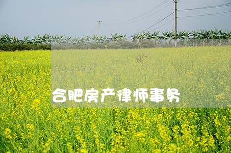 合肥房产律师事务 合肥房产律师事务