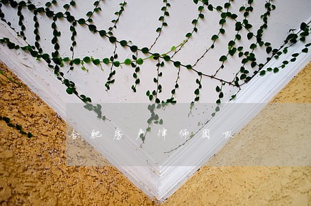 合肥房产律师团队 合肥房产律师团队