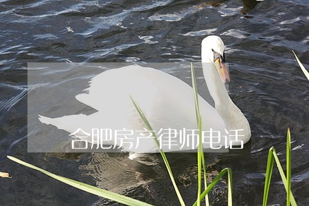 合肥房产律师电话 合肥房产律师电话