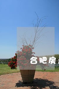 合肥房产纠纷法律咨询