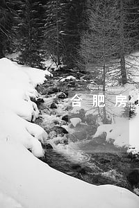 合肥房地产律师团队 合肥房地产律师团队