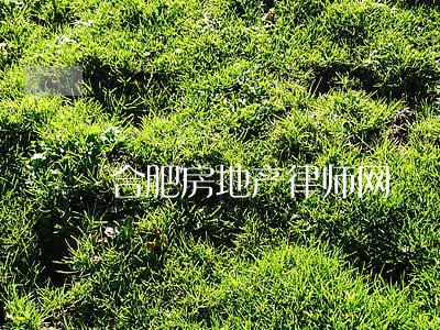 合肥房地产律师网 合肥房地产律师网