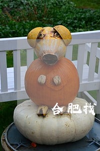 合肥找离婚律师要多少钱 合肥找离婚律师要多少钱
