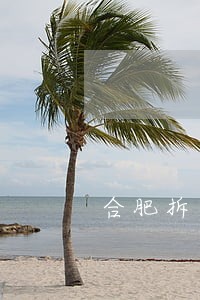 合肥拆迁律师代理 合肥拆迁律师代理