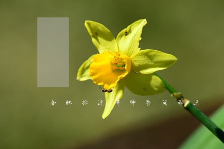 合肥拆迁律师咨询动迁 合肥拆迁律师咨询动迁
