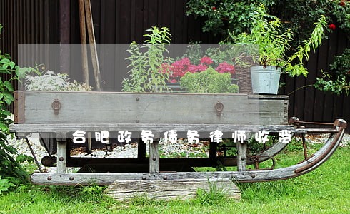 合肥政务债务律师收费 合肥政务债务律师收费