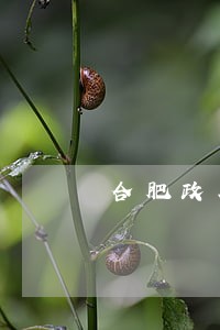 合肥政务债务律师顾问 合肥政务债务律师顾问