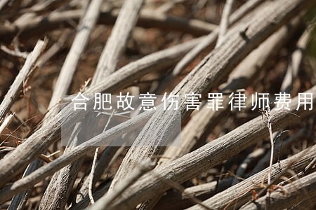 合肥故意伤害罪律师费用 合肥故意伤害罪律师费用
