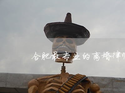 合肥最专业的离婚律师 合肥最专业的离婚律师