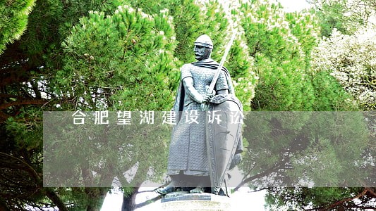 合肥望湖建设诉讼 合肥望湖建设诉讼