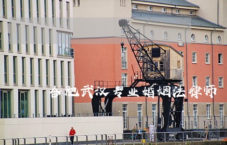 合肥武汉专业婚姻法律师 合肥武汉专业婚姻法律师
