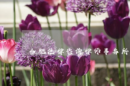 合肥法律咨询律师事务所 合肥法律咨询律师事务所