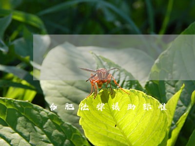 合肥法律援助标准 合肥法律援助标准