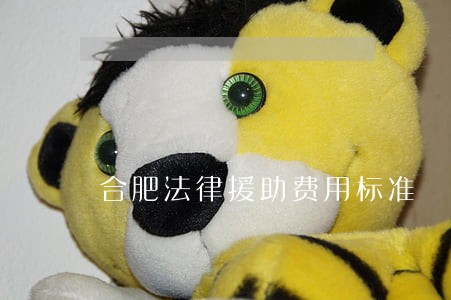 合肥法律援助费用标准 合肥法律援助费用标准
