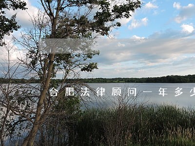 合肥法律顾问一年多少钱 合肥法律顾问一年多少钱