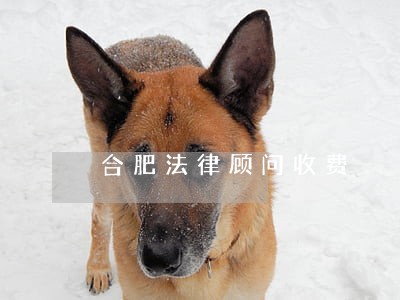 合肥法律顾问收费 合肥法律顾问收费