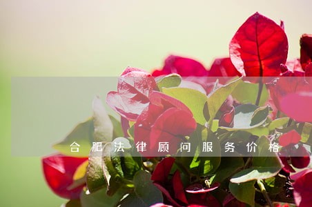 合肥法律顾问服务价格 合肥法律顾问服务价格