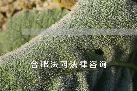 合肥法网法律咨询 合肥法网法律咨询