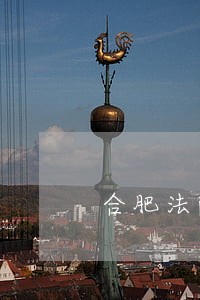 合肥法院刘法官