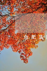 合肥法院可以申请冷静期吗