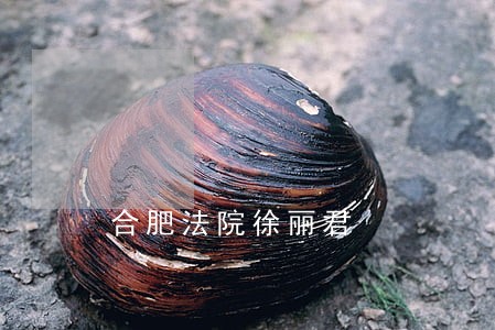 合肥法院徐丽君 合肥法院徐丽君