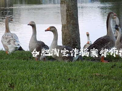 合肥淘宝诈骗案律师找谁