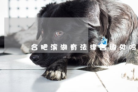 合肥滨湖有法律咨询处吗 合肥滨湖有法律咨询处吗