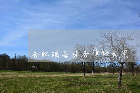 合肥瑶海债务律师费用 合肥瑶海债务律师费用