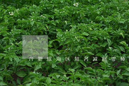 合肥瑶海区知名减刑律师哪个好 合肥瑶海区知名减刑律师哪个好