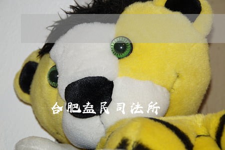 合肥益民司法所