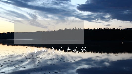 合肥知名房产律师 合肥知名房产律师