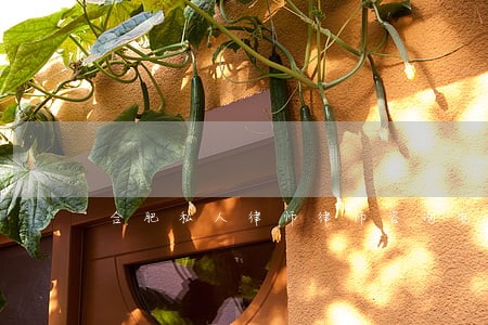合肥私人律师律师咨询电话