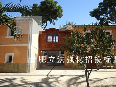 合肥立法强化招投标监管 合肥立法强化招投标监管