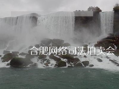 合肥网络司法拍卖会