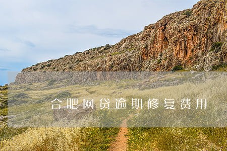合肥网贷逾期修复费用 合肥网贷逾期修复费用