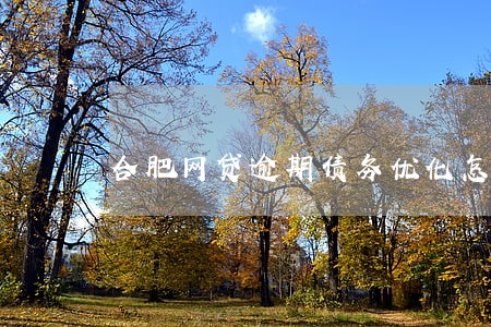 合肥网贷逾期债务优化怎么收费 合肥网贷逾期债务优化怎么收费