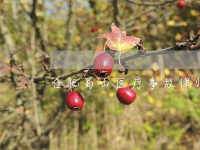 合肥蜀山医疗事故律师团 合肥蜀山医疗事故律师团