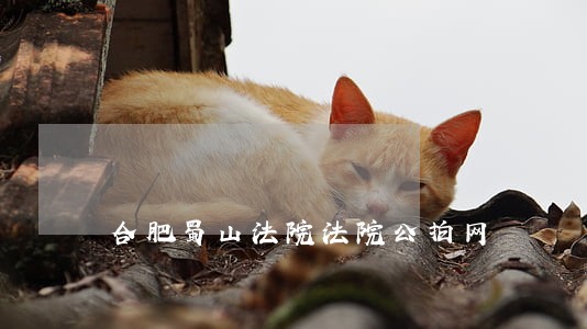 合肥蜀山法院法院公拍网