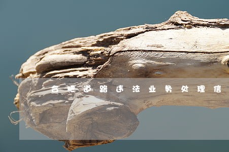 合肥道路违法业务处理信息平台