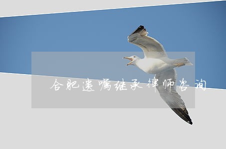 合肥遗嘱继承律师咨询 合肥遗嘱继承律师咨询