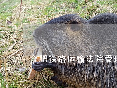 合肥铁路运输法院受理案件范围 合肥铁路运输法院受理案件范围
