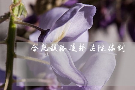 合肥铁路运输法院编制