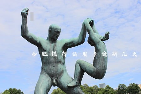 合肥银行信用卡逾期几天上征信 合肥银行信用卡逾期几天上征信