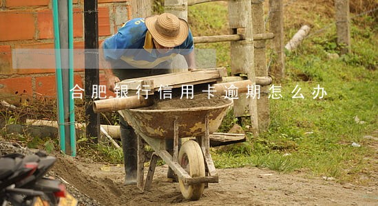 合肥银行信用卡逾期怎么办 合肥银行信用卡逾期怎么办